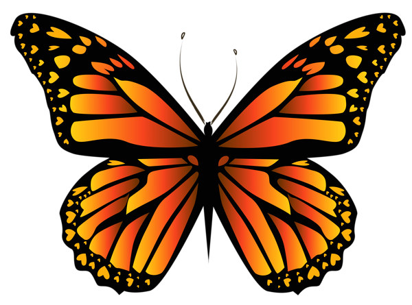 This png image - Orange Butterfly PNG Clipar Image, is available for free download
