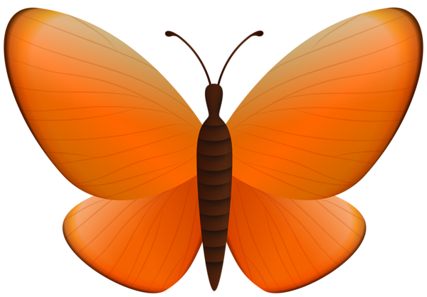 This png image - Orange Butterfly PNG Clipart, is available for free download