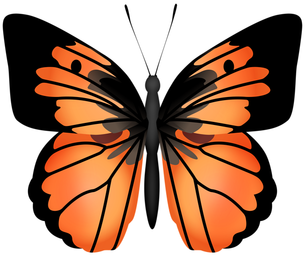 This png image - Orange Butterfly PNG Transparent Clipart, is available for free download