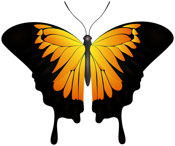 This png image - Orange Butterfly Transparent Image, is available for free download