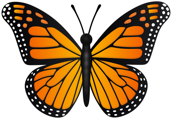This png image - Orange Butterfly Transparent PNG Clipart, is available for free download