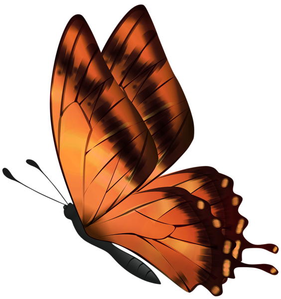This png image - Orange Flying Butterfly PNG Clipart, is available for free download