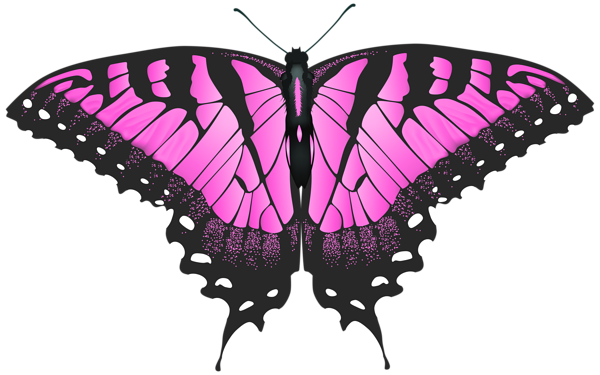 This png image - Pink Butterfly Transparent PNG Clip Art Image, is available for free download