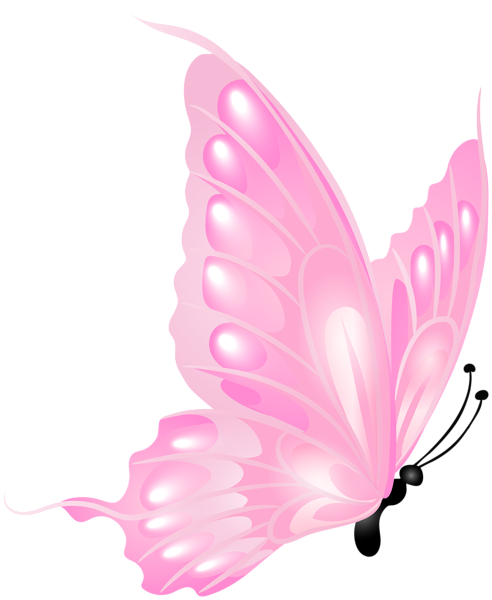 This png image - Pink Butterfly Transparent PNG Clipart, is available for free download