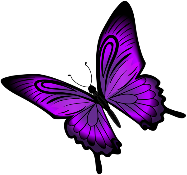 This png image - Purple Butterfly PNG Clip Art, is available for free download