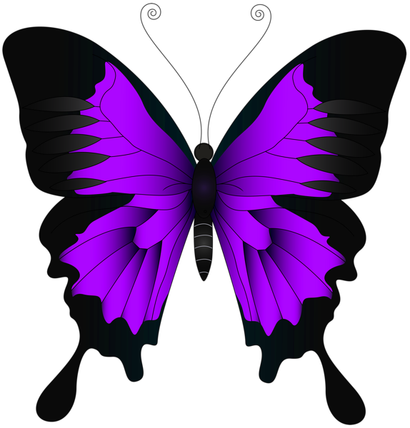 This png image - Purple Butterfly PNG Clip Art Image, is available for free download