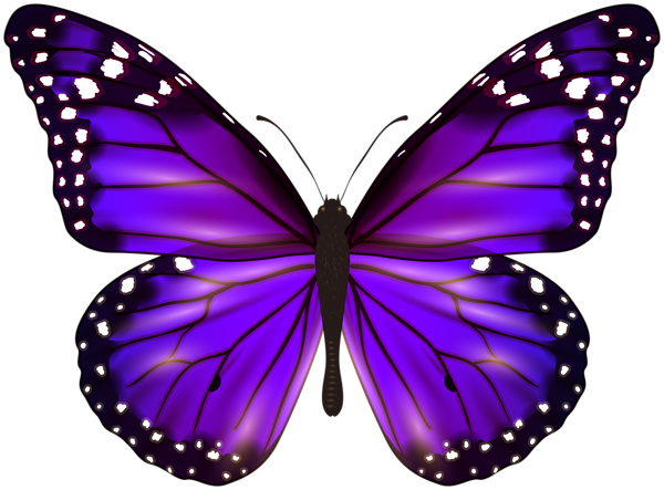 This png image - Purple Butterfly PNG Clipart, is available for free download