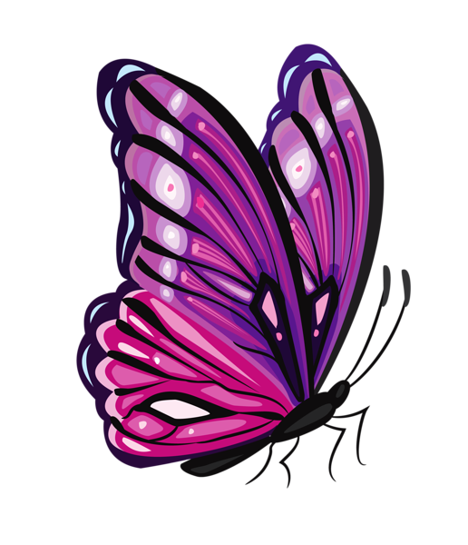 This png image - Purple Butterfly PNG Clipart Picture, is available for free download