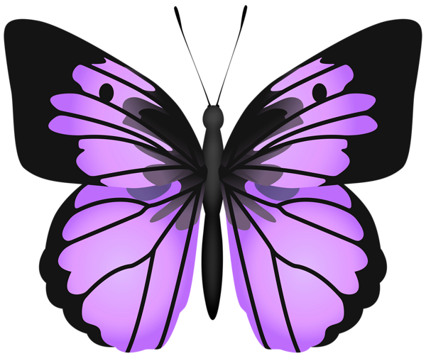 Purple Butterfly PNG Transparent Clipart | Gallery Yopriceville - High ...