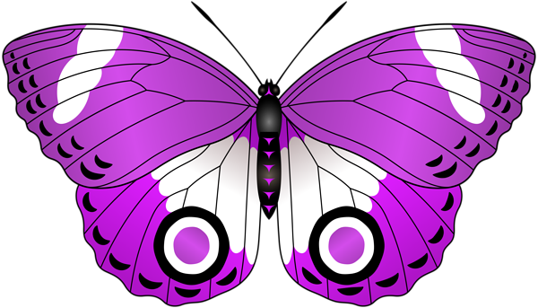 This png image - Purple Butterfly Transparent Clip Art Image, is available for free download