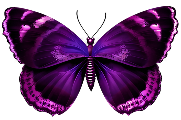 This png image - Purple Butterfly Transparent PNG Image, is available for free download