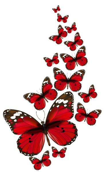 This png image - Red Butterflies Vector PNG Clipart, is available for free download