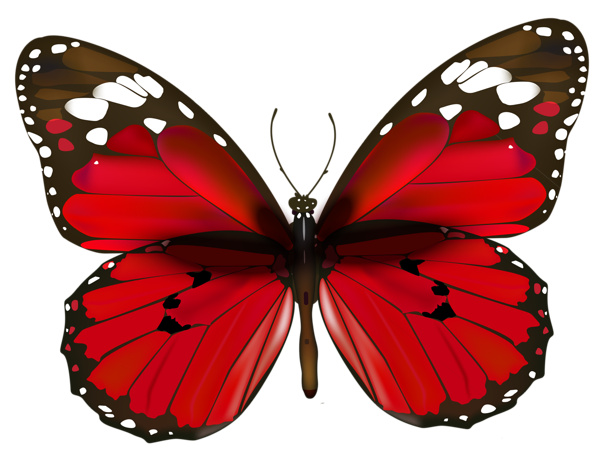 This png image - Red Butterfly PNG Clipart, is available for free download