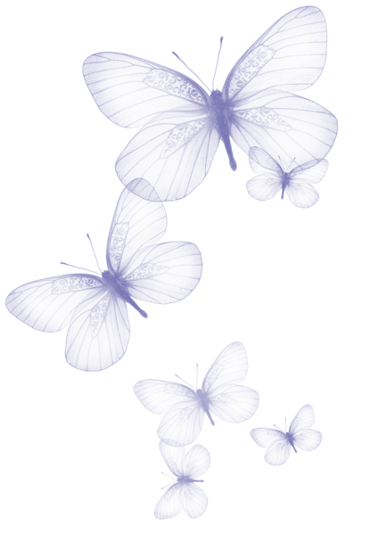 Transparent Butterfly PNG Clipart Picture | Gallery Yopriceville - High