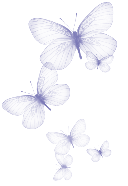 This png image - Transparent Butterfly PNG Clipart Picture, is available for free download
