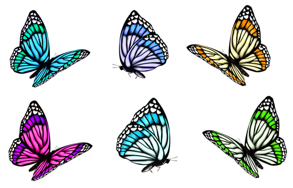 This png image - Transparent Butterfly Set PNG Clipart, is available for free download