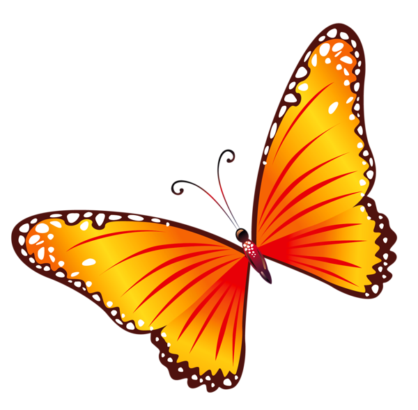 This png image - Transparent Orange Butterfly PNG Clipart, is available for free download