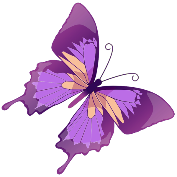This png image - Transparent Purple Butterfly PNG Picture, is available for free download