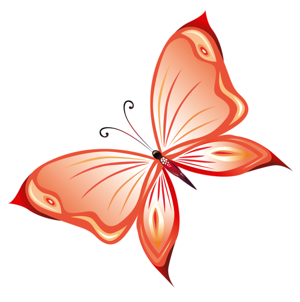This png image - Transparent Red Butterfly PNG Clipart, is available for free download