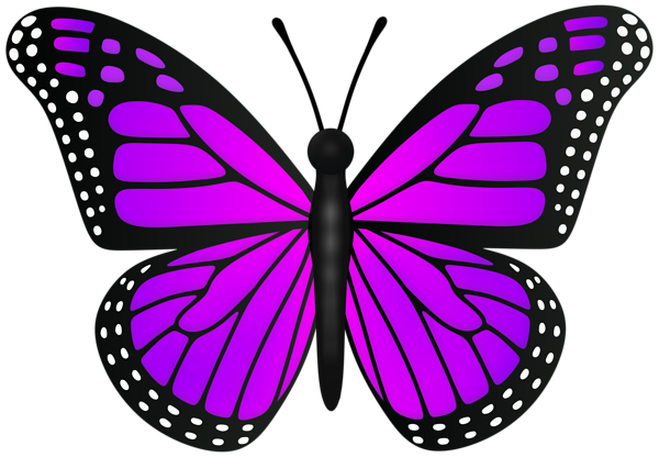 This png image - Violet Butterfly Transparent PNG Clipart, is available for free download