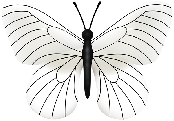 This png image - White Butterfly PNG Transparent Clipart, is available for free download