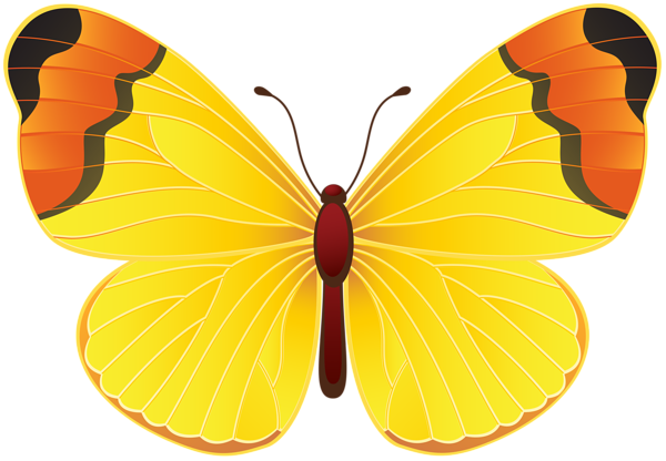 This png image - Yellow Butterfly PNG Clip Art Transparent Image, is available for free download