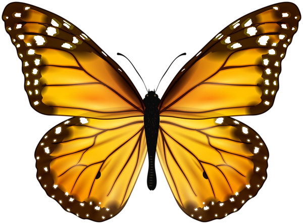 This png image - Yellow Butterfly PNG Clipart, is available for free download