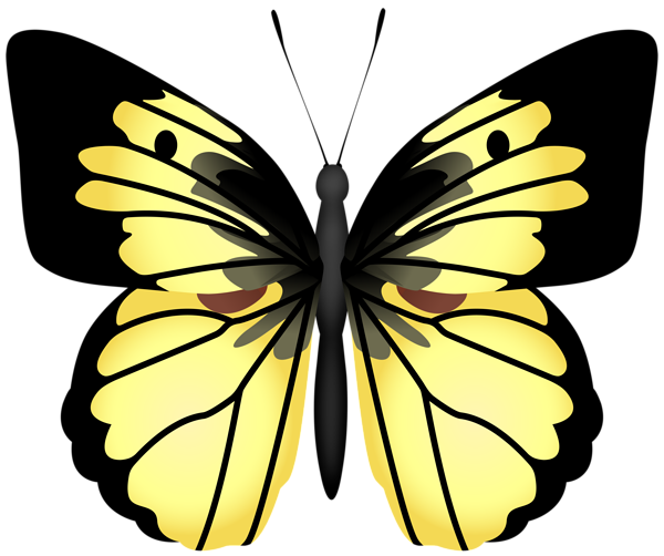 This png image - Yellow Butterfly PNG Transparent Clipart, is available for free download