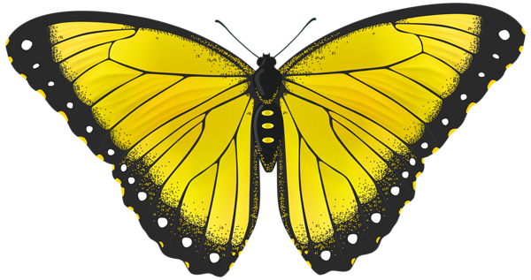 Yellow Butterfly Transparent PNG Clip Art Image | Gallery ...