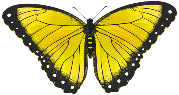 This png image - Yellow Butterfly Transparent PNG Clip Art Image, is available for free download