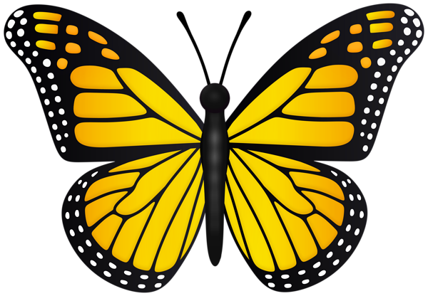 This png image - Yellow Butterfly Transparent PNG Clipart, is available for free download
