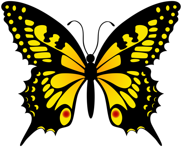 This png image - Yellow Butterfly Transparent PNG Image, is available for free download