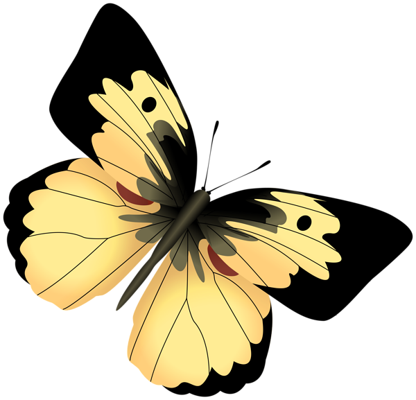 This png image - Yellow and Black Butterfly PNG Clipart Image, is available for free download