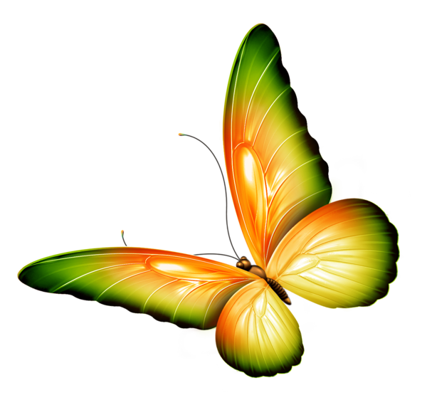 This png image - Yellow and Green Transparent Butterfly Clipart, is available for free download