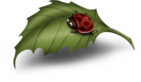 This png image - Cartoon Ladybug on Leaf Clipart, is available for free download