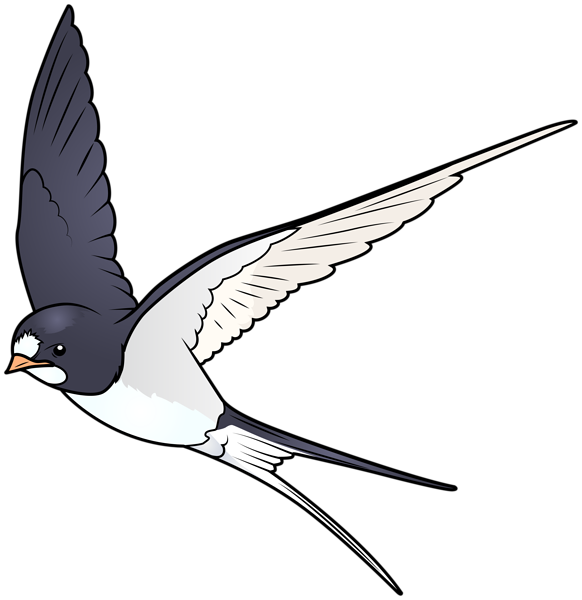 This png image - Cartoon Bird PNG Transparent Image, is available for free download