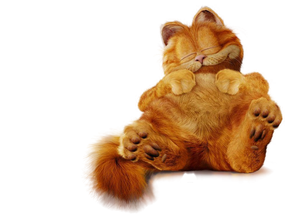 Garfield Cute  Cute  Garfield  PNG Free Picture Gallery Yopriceville 
