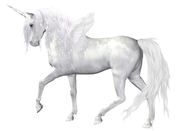 fantasy angel unicorn png clipart picture