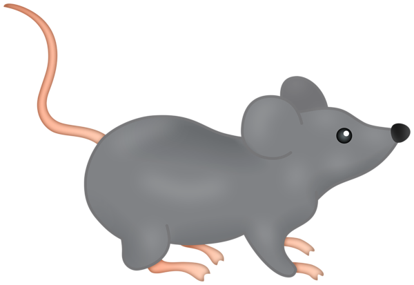 This png image - Grey Mause Cartoon PNG Clipart, is available for free download