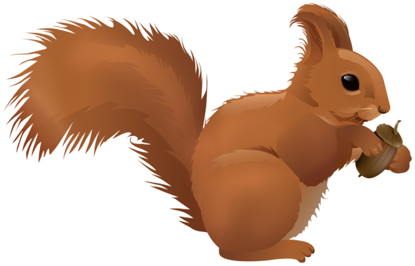 This png image - Squirrel Cartoon PNG Clipart, is available for free download