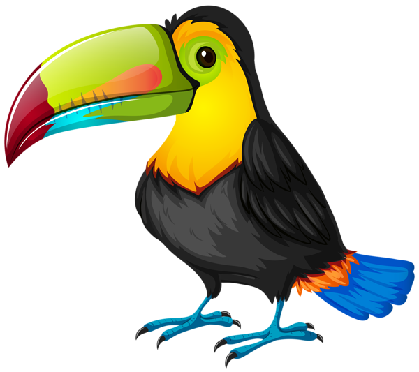 This png image - Toucan Cartoon PNG Transparent Image, is available for free download
