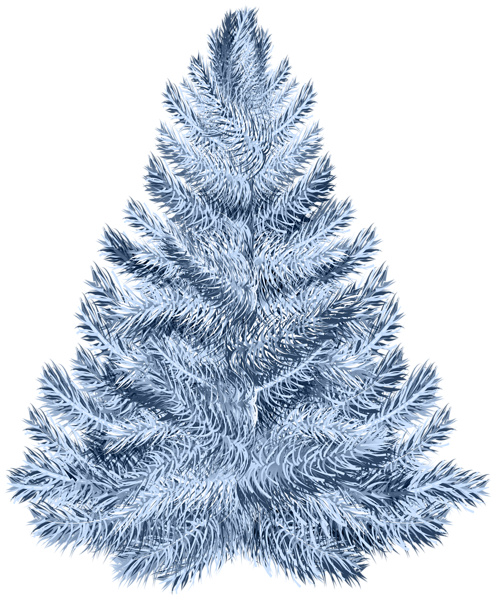 This png image - Blue Pine Tree Transparent PNG Image, is available for free download