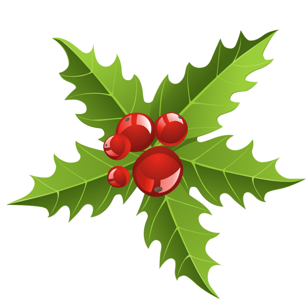 This png image - Chrismtmas Mistletoe Element PNG Picture, is available for free download