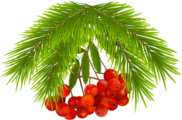 This png image - Christmas Holly Berries PNG Clip Art Image, is available for free download