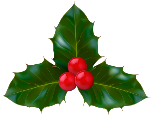 This png image - Christmas Holly Clip Art PNG Image, is available for free download