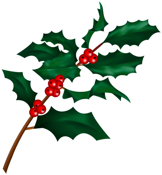 This png image - Christmas Holly Mistletoe Branch Clip Art, is available for free download