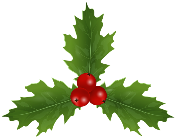 This png image - Christmas Holly Mistletoe Clip Art, is available for free download