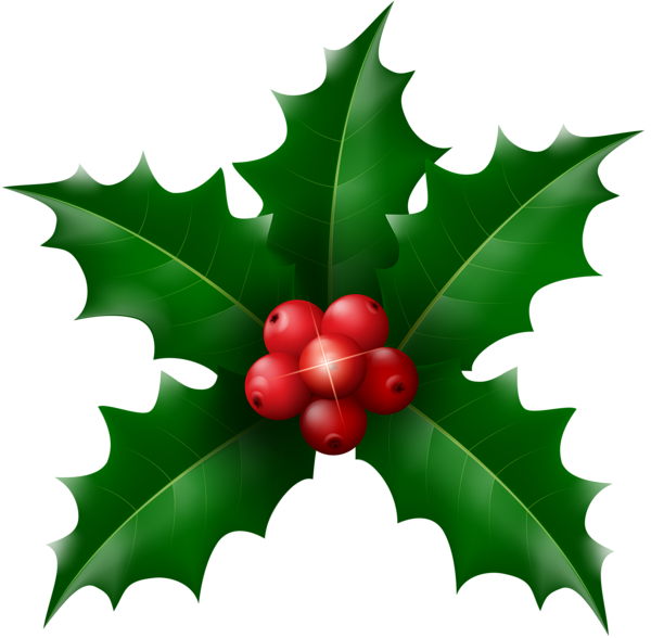 This png image - Christmas Holly Mistletoe Clip Art, is available for free download