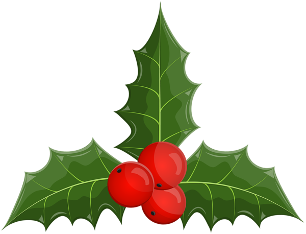 This png image - Christmas Holly Mistletoe Clip Art Image, is available for free download