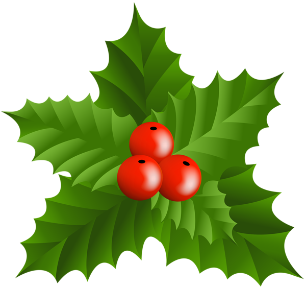 This png image - Christmas Holly Mistletoe PNG Clip-Art, is available for free download